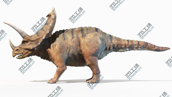 images/goods_img/20210312/Pentaceratops model/3.jpg